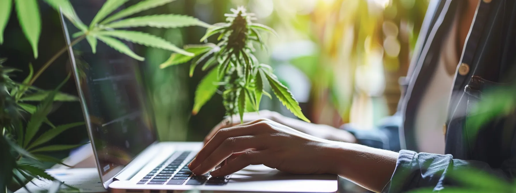 a person using a laptop to optimize a cannabis dispensary website for search engines.